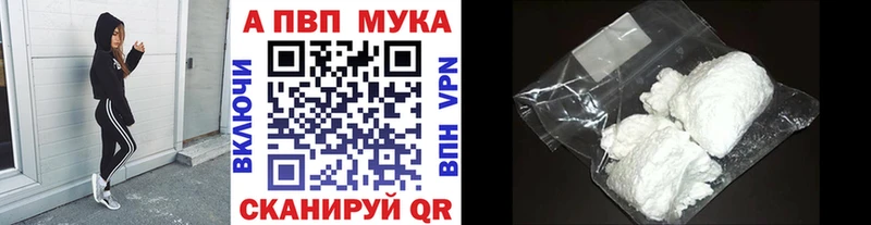 магазин Камызяк Альфа ПВП СК
