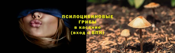 ешки Сафоново