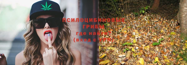 хмурый Баксан