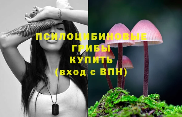 ешки Аркадак