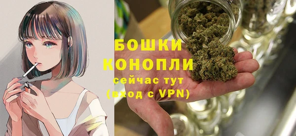 сатива Армянск