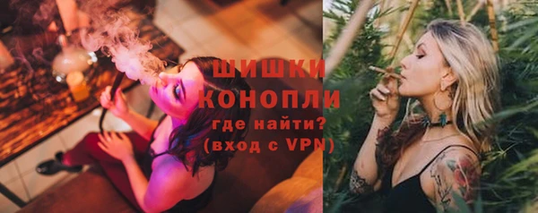 ешки Аркадак