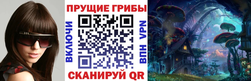 Галлюциногенные грибы Cubensis  Камызяк 